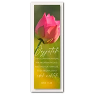 Könyvjelző - 10 darabos csomagban