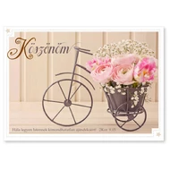 Nyílt képeslap Köszönöm