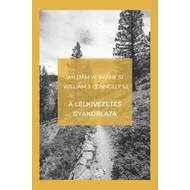 A lelkivezetés gyakorlata