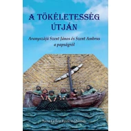 A tökéletesség útján