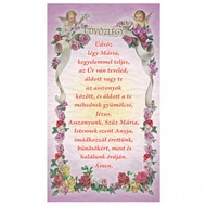 Szentkép -Üdvözlégy Mária 25 darabos csomagban