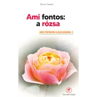 Ami fontos a rózsa Ami fontos a rózsa