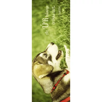 Könyvjelző - 10 darabos csomagban