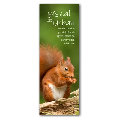 Könyvjelző - 10 darabos csomagban