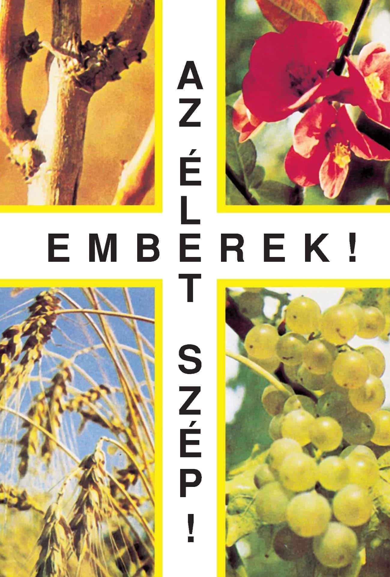 Emberek! Az élet szép!