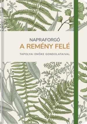 Napraforgó a remény felé 